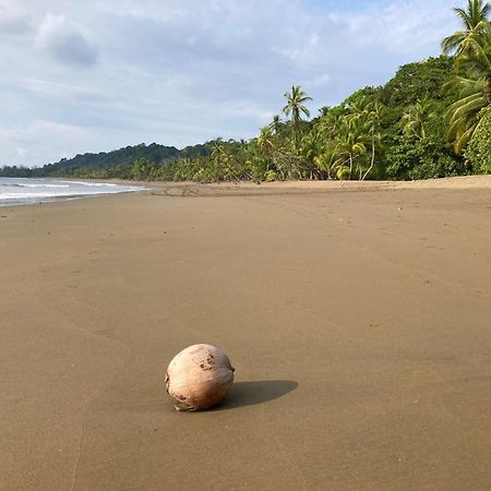 Corcovado & Drake Inn Drake Bay ภายนอก รูปภาพ