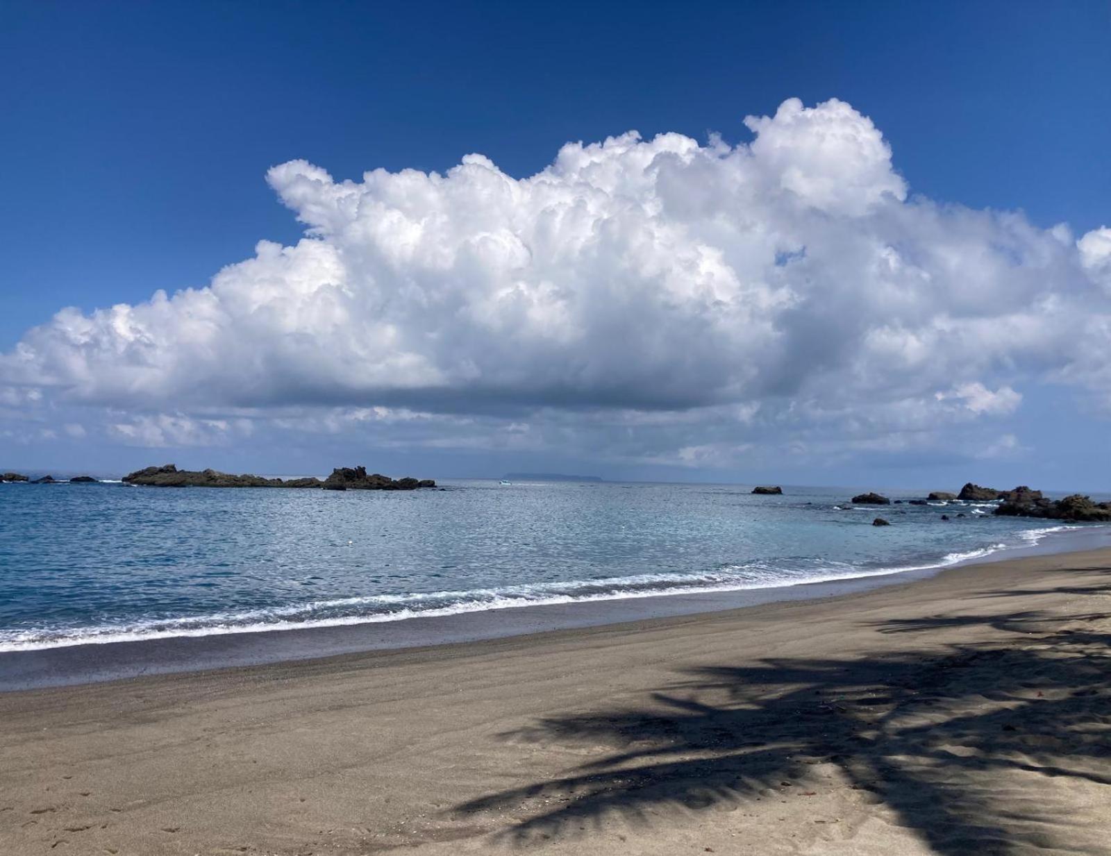 Corcovado & Drake Inn Drake Bay ภายนอก รูปภาพ
