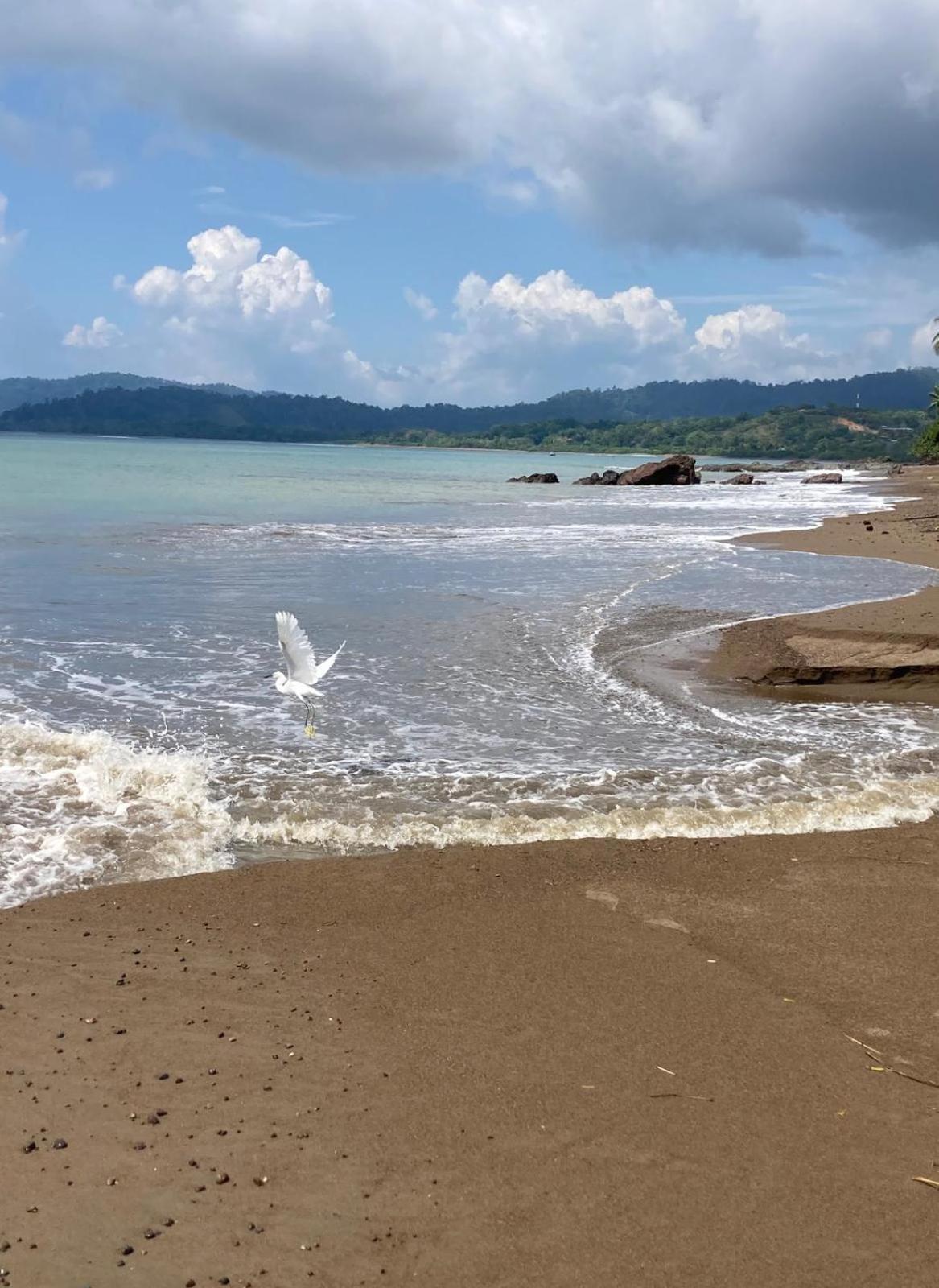 Corcovado & Drake Inn Drake Bay ภายนอก รูปภาพ