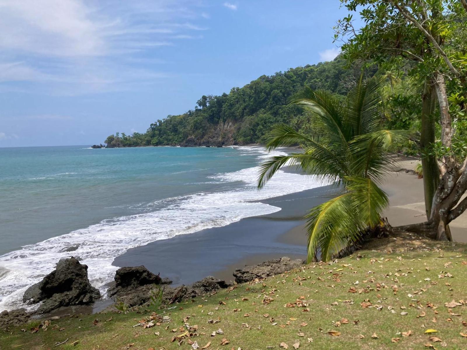 Corcovado & Drake Inn Drake Bay ภายนอก รูปภาพ