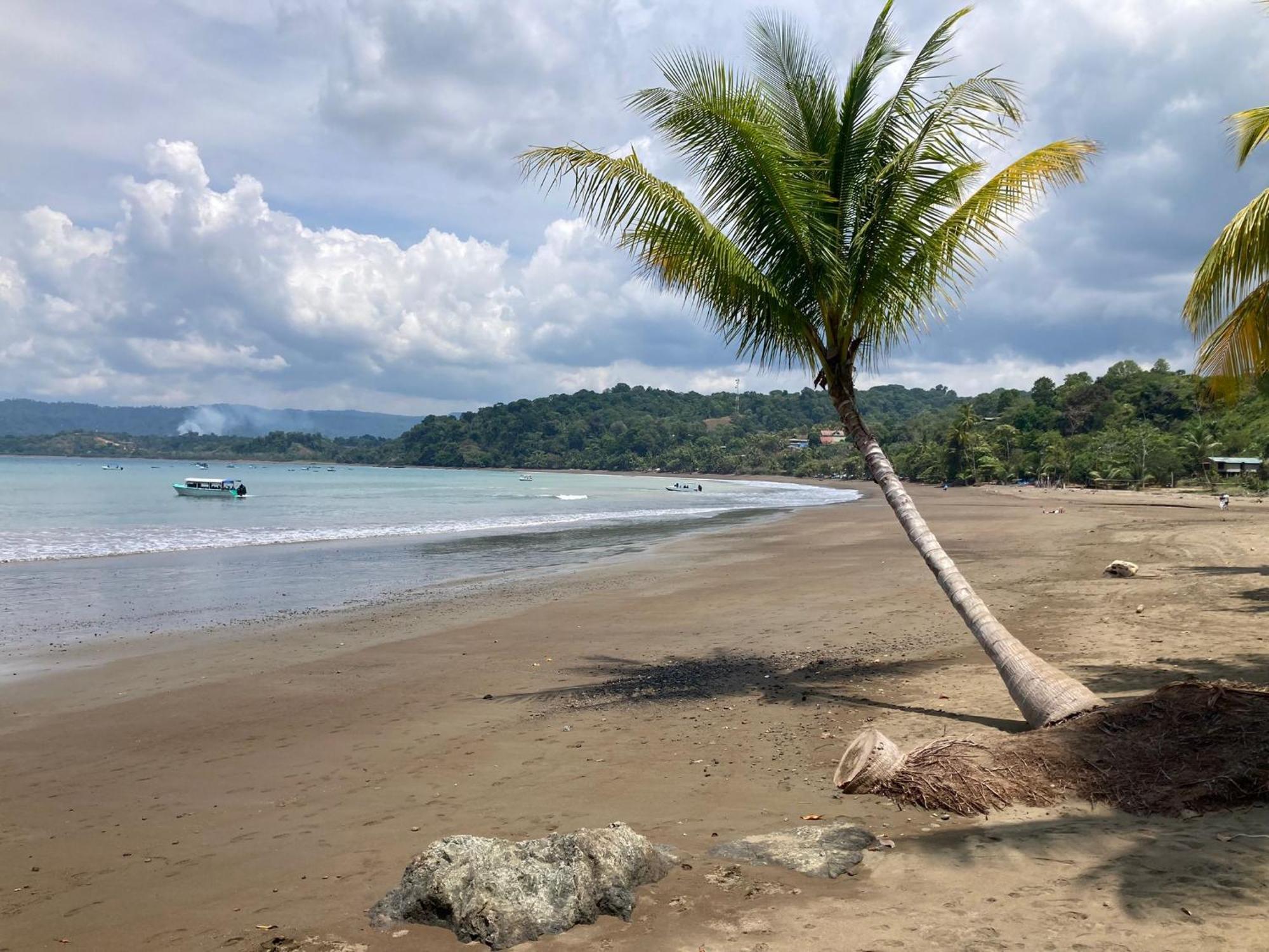 Corcovado & Drake Inn Drake Bay ภายนอก รูปภาพ