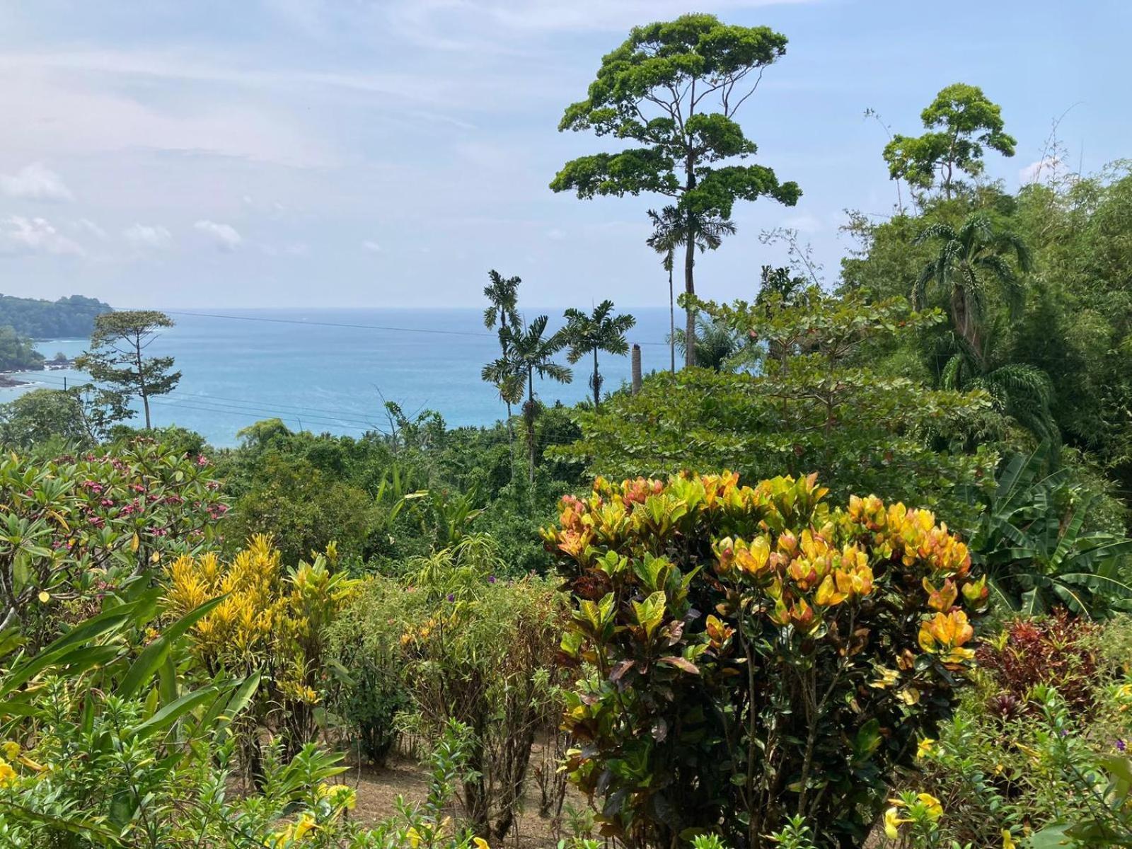 Corcovado & Drake Inn Drake Bay ภายนอก รูปภาพ